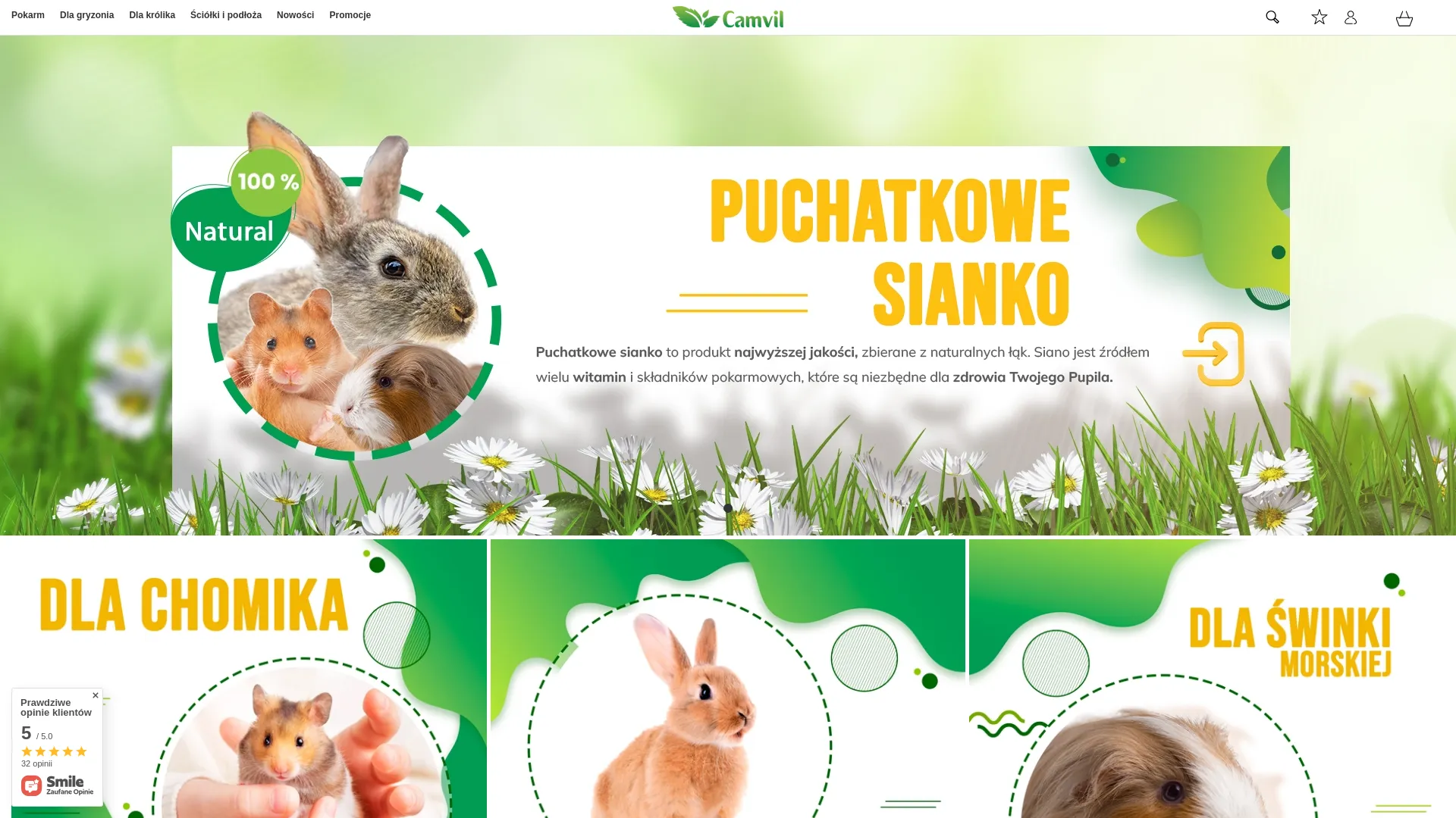 Zrzut ekranu strony internetowej