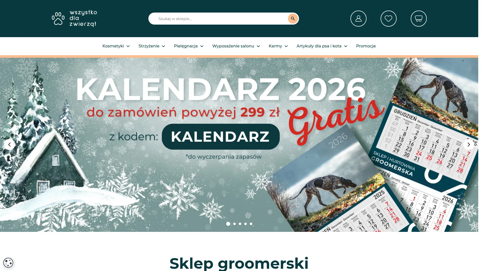 Zrzut ekranu strony internetowej